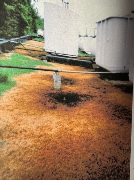 Dead, brown grass around storage tanks at a Houston-area chemical plant after chemical leaked from stored drums.