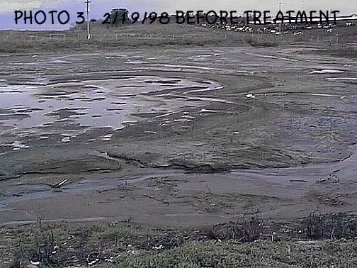 A dairy waste lagoon with solids covering most of the water surface before treatment