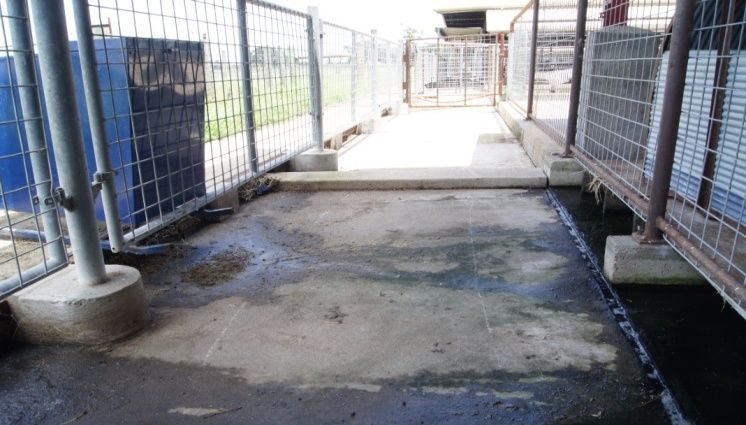 The same concrete sluice clean and dry after treatment