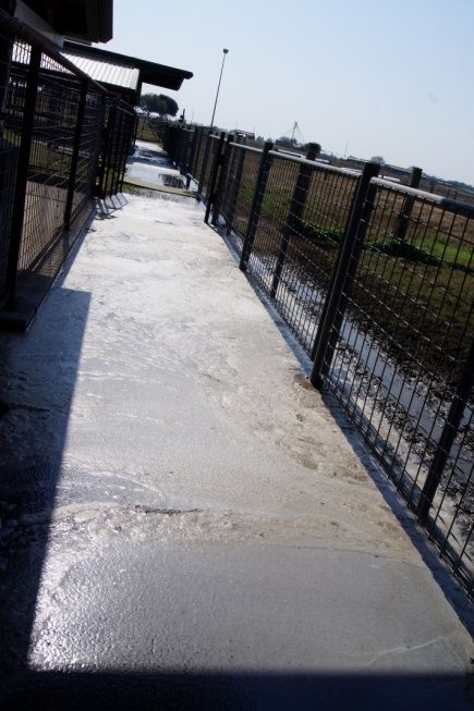 A raised concrete sluice at the lift stations coated with dried scum before treatment